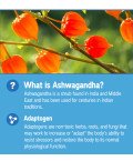 2 Pack Ashwagandha Gummies for Immune Support,120 Count