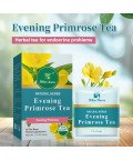 WINSTOWN Natural Herbs Evening Primrose Tea