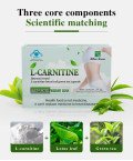 Wins Town L-carnitine slim lotus leaf green tea capsule