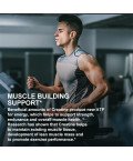 Weight Gain Creatine Monohydrate Gummies 4g 35 Count